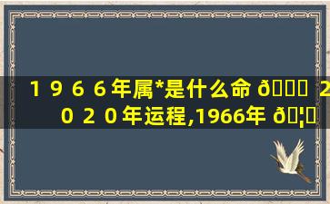 １９６６年属*
是什么命 🐞 ２０２０年运程,1966年 🦋 属*
是什么命2020年运程